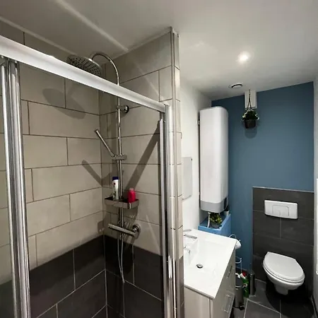 T1 Bis Proche Gare Et Centre