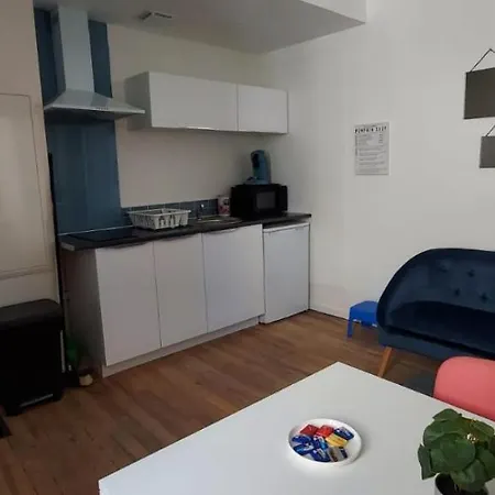 Apartamento T1 Bis Proche Gare Et Centre Lourdes